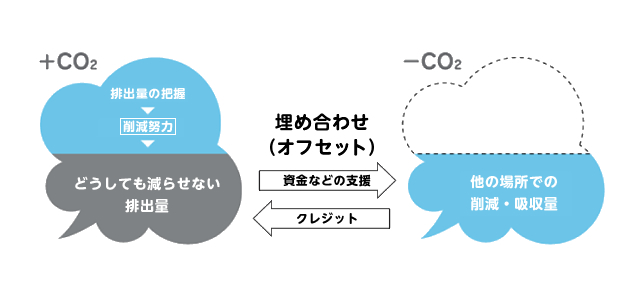 cbof
