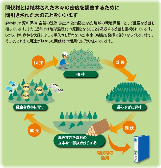 KANBATU1